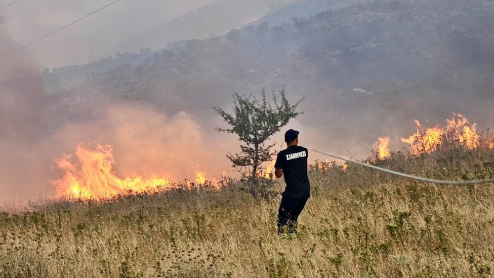 Dëmet nga zjarret, Kryeministri Rama: Do kompensohen, hapat që do ndiqen